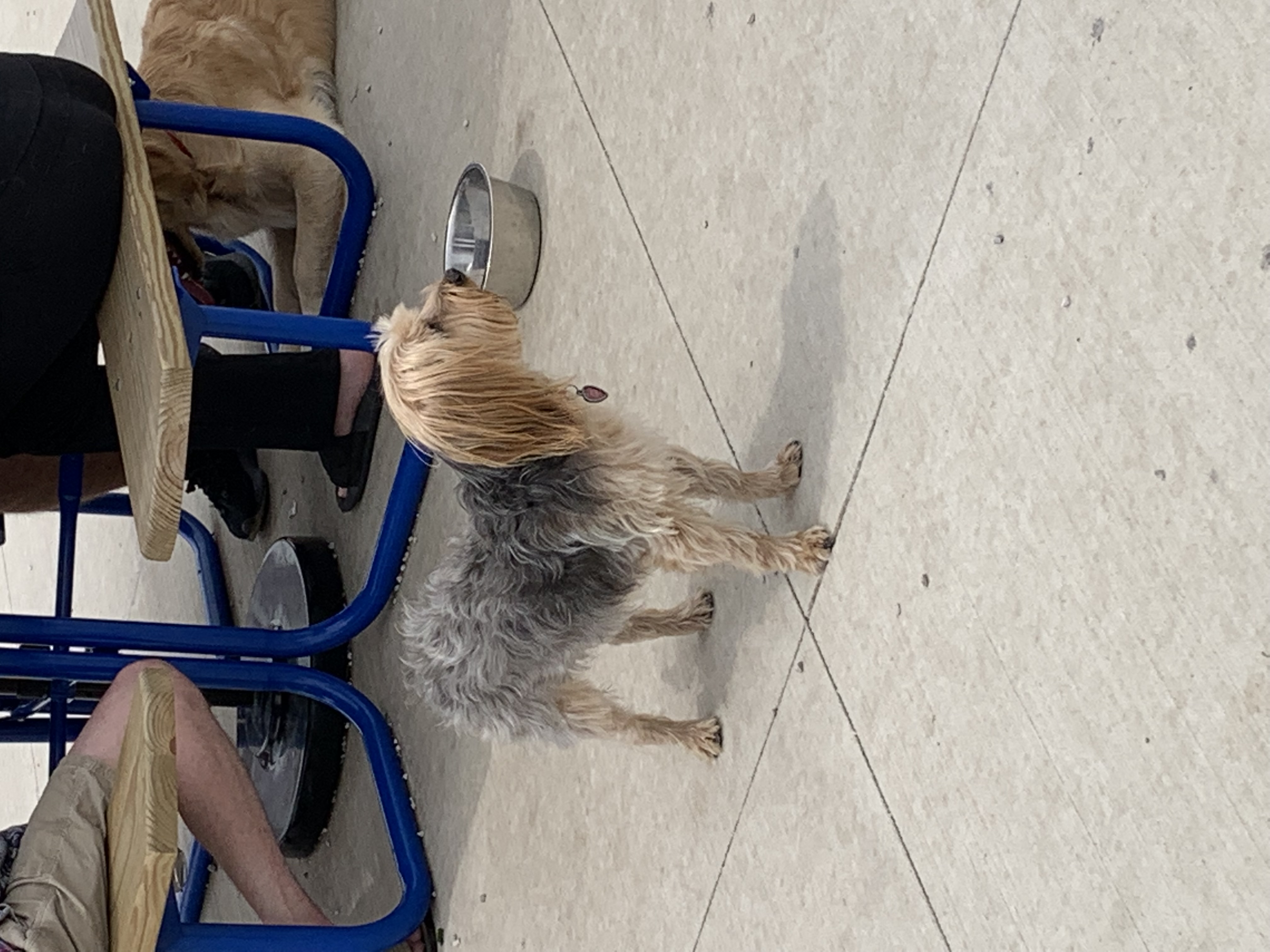 ./2022/06 - St Louis/02 - Day 2/20220522-123541546.JPG